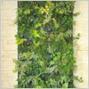 D�coration murale