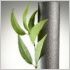 Thermaflex, solutions pour �conomiser l'�nergie et prot�ger l'environnement