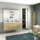 Collection Delphy, Evolution - ...